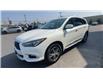 2020 Infiniti QX60 Pure (Stk: 25387-1) in Sudbury - Image 4 of 27