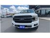 2019 Ford F-150 XLT (Stk: 25391) in Sudbury - Image 3 of 25