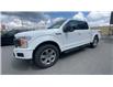2019 Ford F-150 XLT (Stk: 25391) in Sudbury - Image 4 of 25