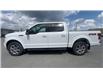 2019 Ford F-150 XLT (Stk: 25391) in Sudbury - Image 5 of 25
