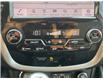 2023 Nissan Murano Platinum (Stk: 25447) in Sudbury - Image 19 of 26