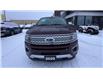 2020 Ford Expedition Max Platinum (Stk: 25702) in Sudbury - Image 3 of 27