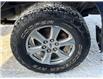 2020 Ford F-150 XLT (Stk: 26027) in Sudbury - Image 10 of 23