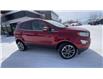 2019 Ford EcoSport Titanium (Stk: 26081-1) in Sudbury - Image 2 of 26