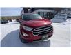 2019 Ford EcoSport Titanium (Stk: 26081-1) in Sudbury - Image 3 of 26