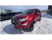 2019 Ford EcoSport Titanium (Stk: 26081-1) in Sudbury - Image 4 of 26