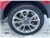 2019 Ford EcoSport Titanium (Stk: 26081-1) in Sudbury - Image 10 of 26